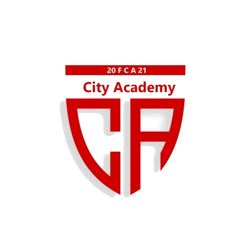 City Academy Sarajevo crest